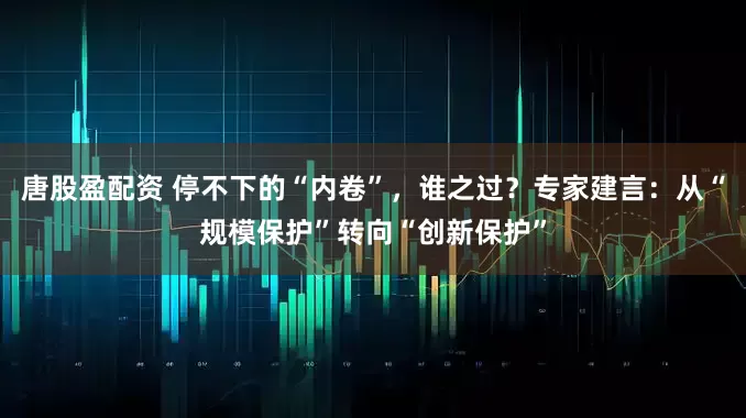 唐股盈配资 停不下的“内卷”，谁之过？专家建言：从“规模保护”转向“创新保护”