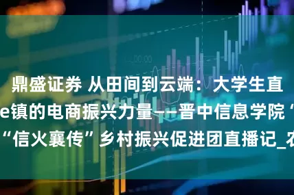 鼎盛证券 从田间到云端：大学生直播助农见证乡村e镇的电商振兴力量——晋中信息学院“信火襄传”乡村振兴促进团直播记_农产品_发展_实践