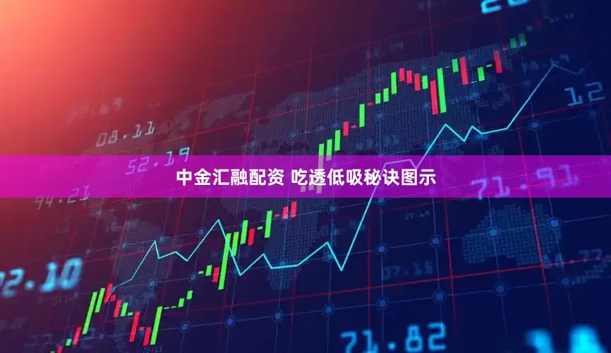 中金汇融配资 吃透低吸秘诀图示